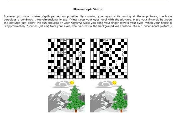 visual Illusions