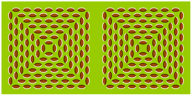 Visual Illusions