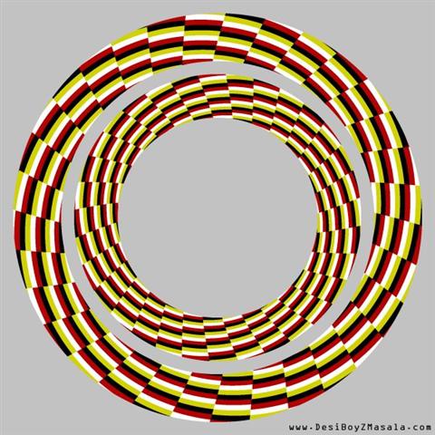 Visual Illusions