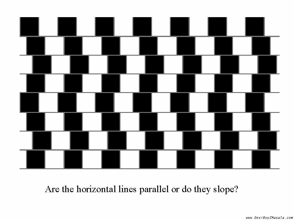 Visual Illusions