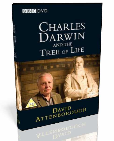 Charles Darwin And The Tree Of Life