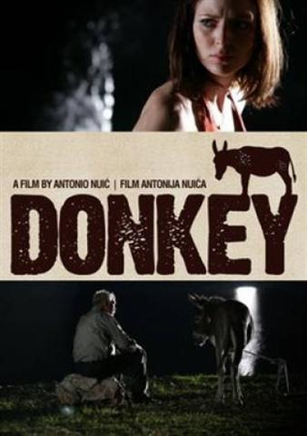 Donkey