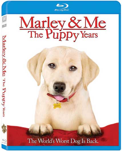 Marley And Me The Puppy Years