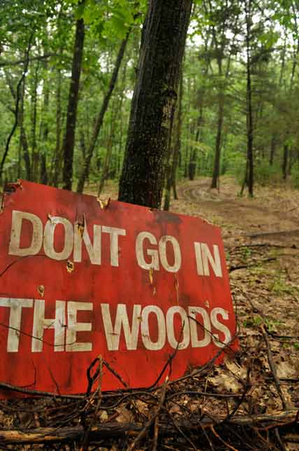 Don't Go In The Woods