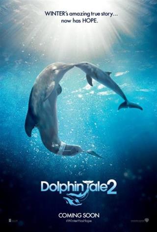 Dolphin Tale 2