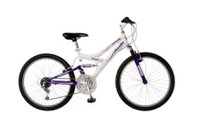 Meijer Stores Recalls Bicycles Due to Fall Hazard