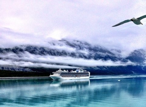 A View Of The Star Princess