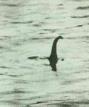 Lochness Monster