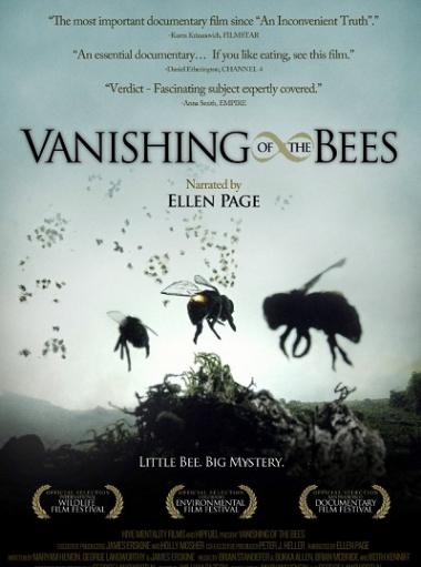 Vanishing Of The Bees