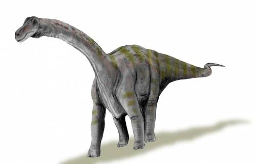 Rapetosaurus Krausei