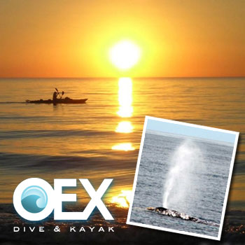 Oex Dive & Kayak