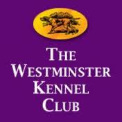 Annual Westminster Kennel Club Dog Show