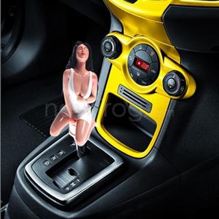 Sexy Gear Shift