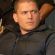 Discuss  Wentworth Miller