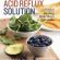 Top  The Acid Reflux Solution