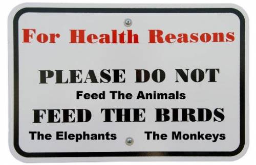 Do Not Feed The Animals