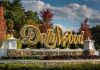 Discuss  Dollywood